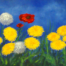 Dandelions
